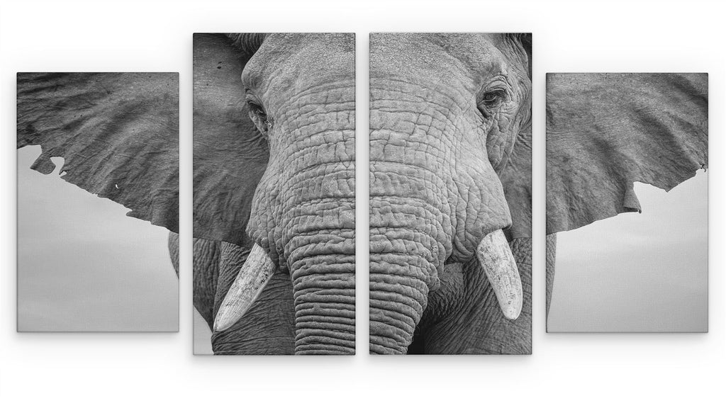 4 Panel 131x 60cm Canvas Wall Art of Black and White Elephant Large for your Living Room Canvas Prints - Pictures