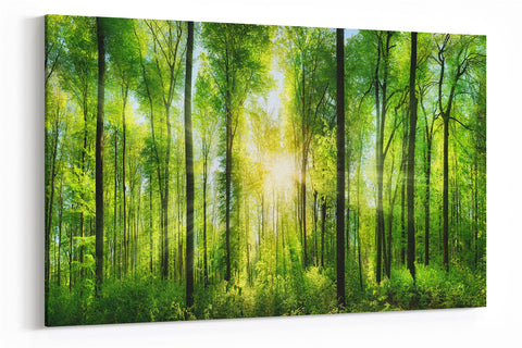 A1 60x75cm Canvas Wall Art of Forrest for your Living Room Canvas Prints - Pictures