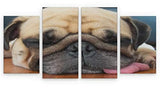 4 Panel 131x 60cm Canvas Wall Art of Pug Dog Large for your Living Room Canvas Prints - Pictures