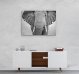 A3 30x45cm Canvas Wall Art of Black and White Elephant  for your Living Room Prints - Pictures