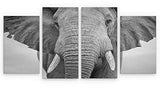 4 Panel 131x 60cm Canvas Wall Art of Black and White Elephant Large for your Living Room Canvas Prints - Pictures