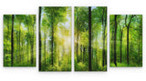 4 Panel 131x 60cm Canvas Wall Art of Forrest Large for your Living Room Prints - Pictures