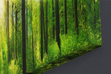 A1 60x75cm Canvas Wall Art of Forrest for your Living Room Canvas Prints - Pictures