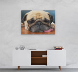 A2 45x60 Canvas Wall Art of Pug Dog for your Living Room Canvas Prints - Pictures
